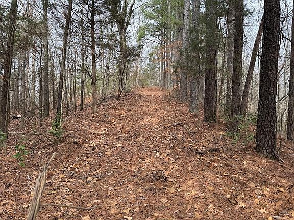 3rd image of 613 Williams Grove Rd