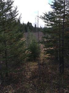 3314 Rock Rd, Silver Bay, MN, 55614