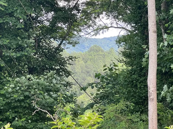 LOT 1.2 Cole Rd, Copperhill, TN 37317