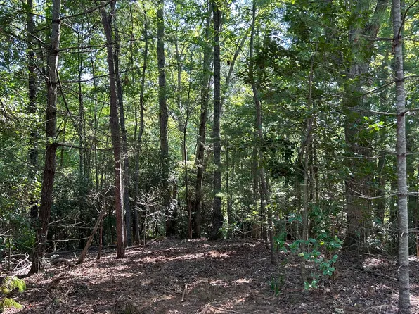 Owltown & Fortenberr, Blairsville, GA 30512