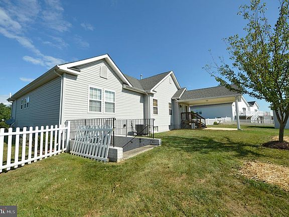 Back Angle Elevation