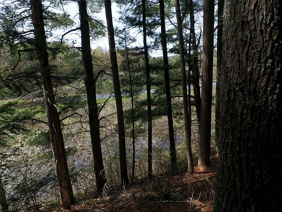2nd image of ON CAMP NINE RD