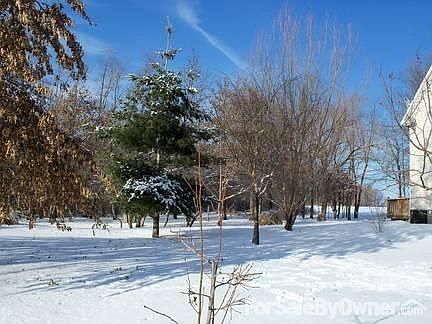 Winter 2011