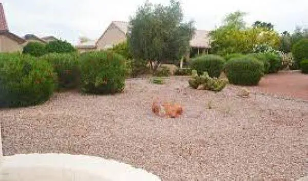 14311 W Colt Ln — Photo 22