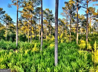 4 Duke Rd, Perry, GA 31069