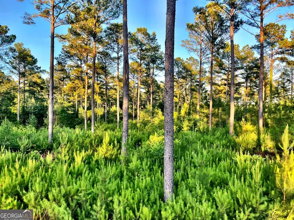 4 Duke Rd, Perry, GA 31069