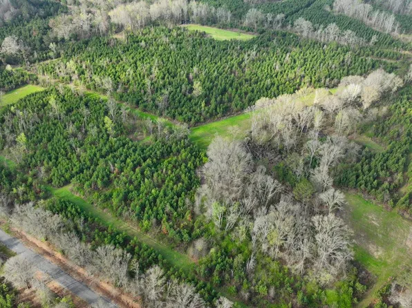 0 County Road 11, Orrville, AL 36767