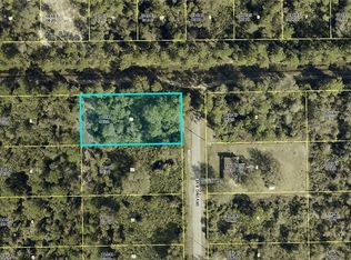 2321 Irving Ave, Alva, FL 33920