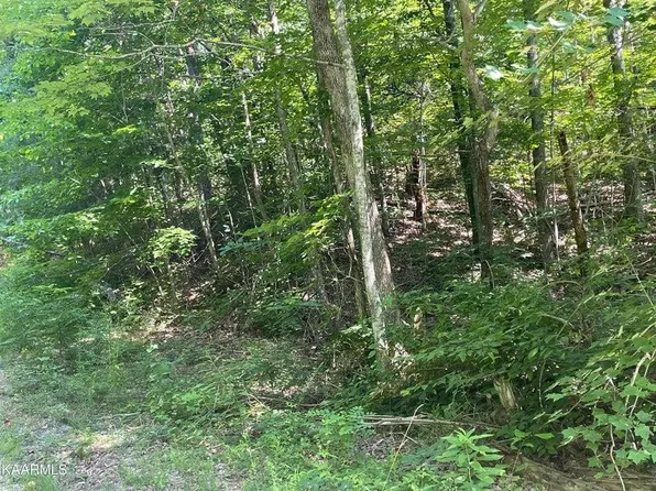 58 Dogwood Ct Lot 58, Sevierville, TN 37876