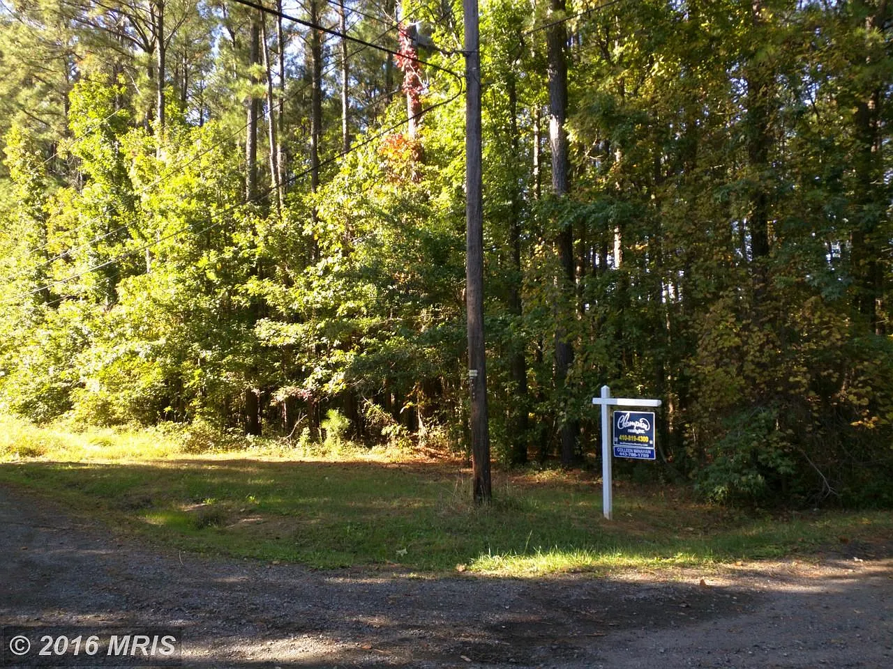 Ackerman Dr photo 1