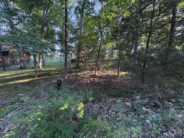 9613 Greenview Ct, Hillsboro, MO 63050