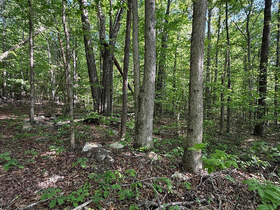 2nd image of LOT 39 Cardinal Dr
