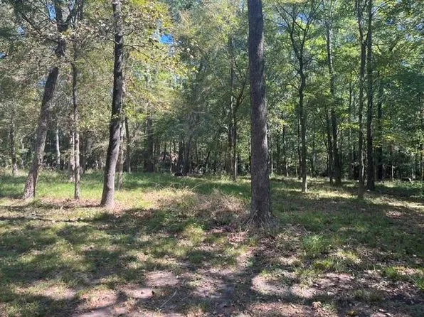 18 Prince Cir, Coldspring, TX 77331