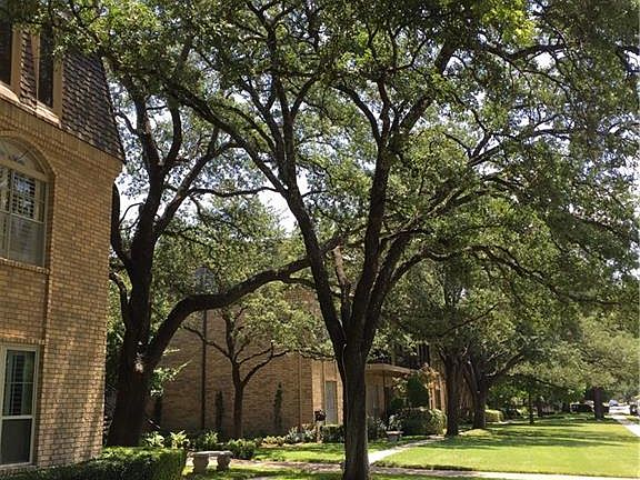 2nd image of 4312 Bellaire Dr S APT 211
