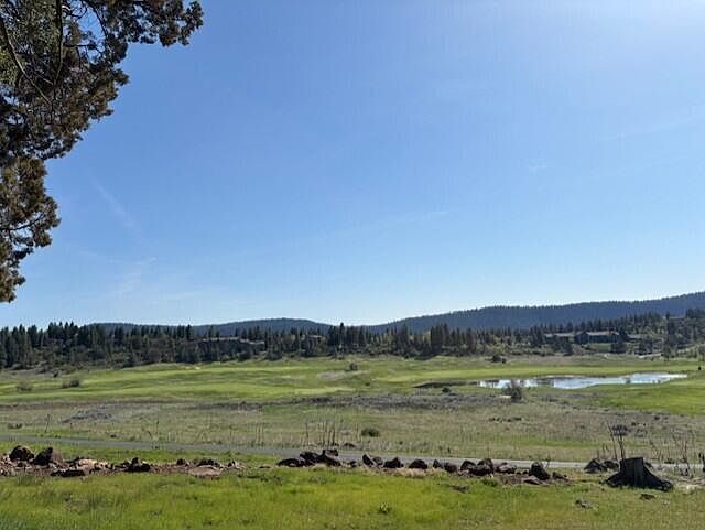 2nd image of Kingbird Ct #281