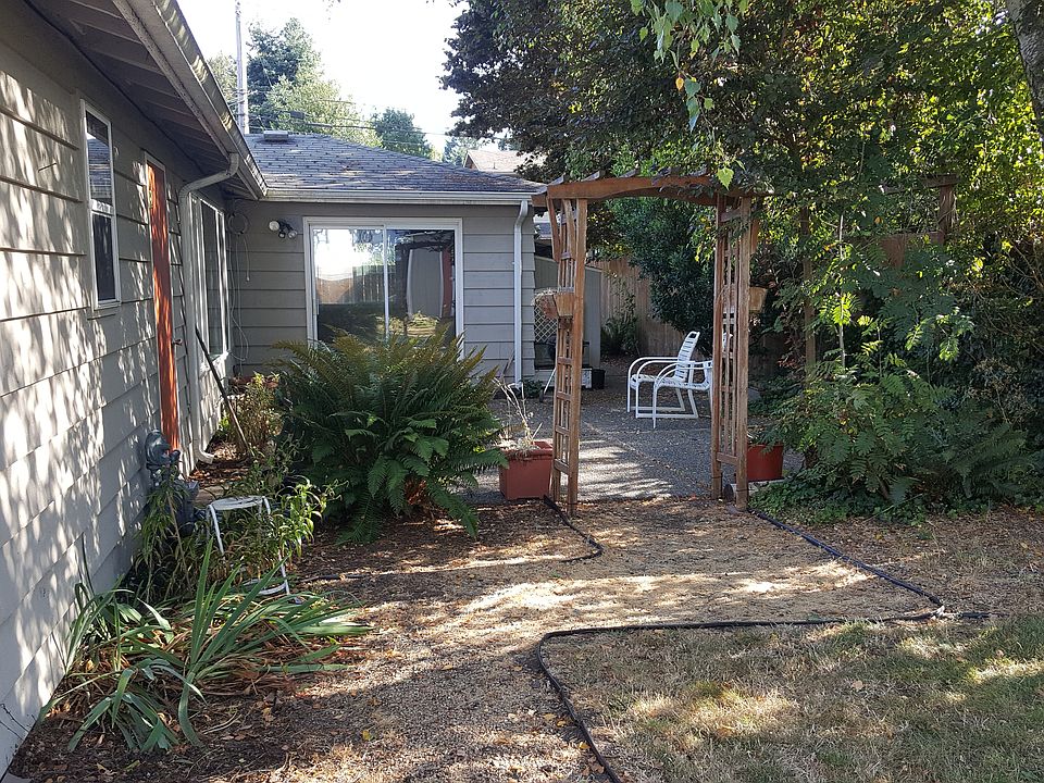 Back yard
