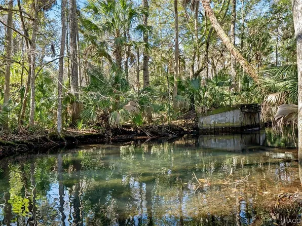 8960 W White Dogwood Dr, Homosassa, FL 34448