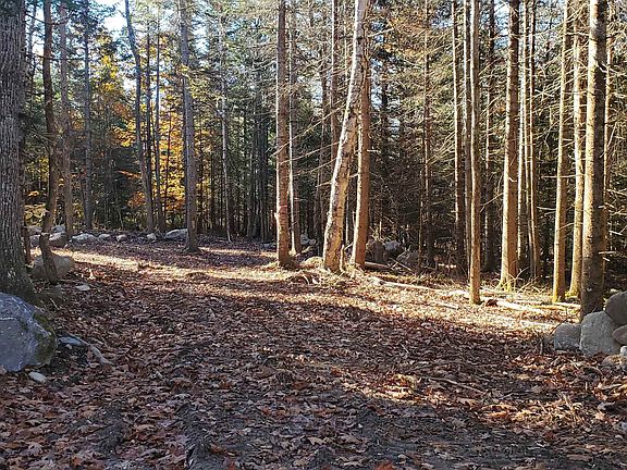 3rd image of 12 Bear Paw Trail #1-2