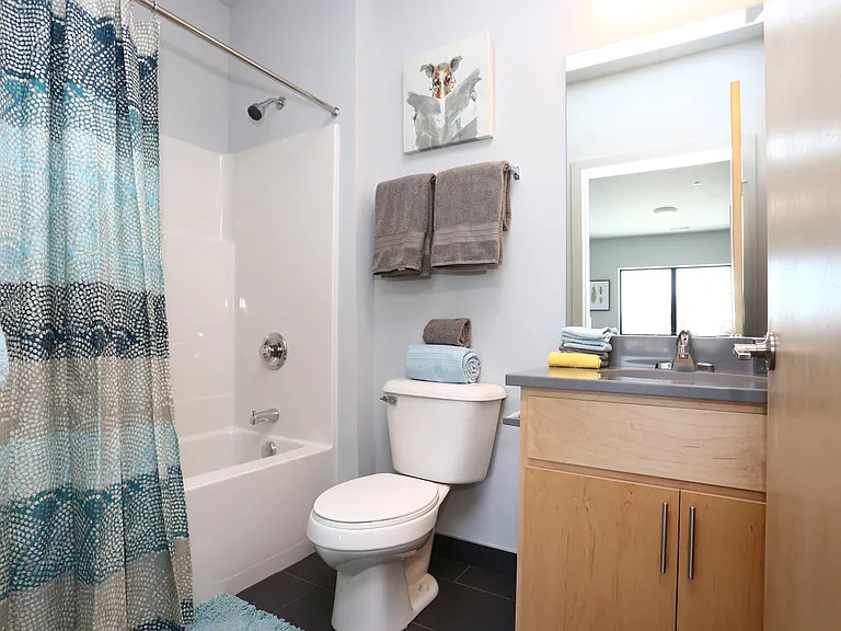 310 S 1st St #211 — Photo 12