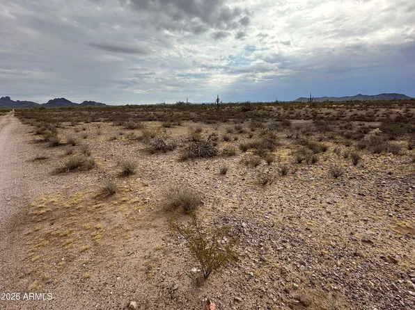 334xx W Painted Wagon Trail #55, Wittmann, AZ 85361
