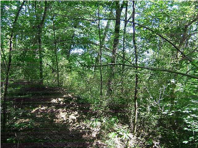 2nd image of 1 Brush Creek Rd