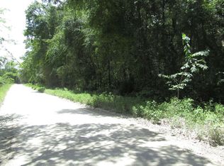 Tbd 240th Street Obrien, Live Oak, FL 32060