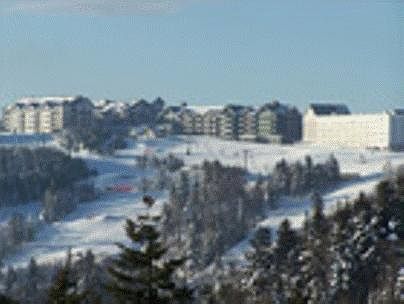 1st image of 103 Mountain Ldg