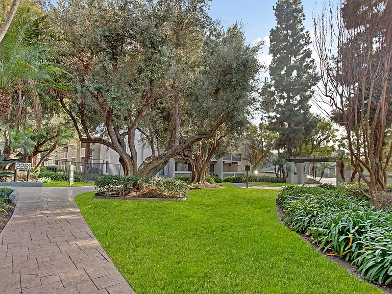 Olive Ridge Apartments — Photo 27