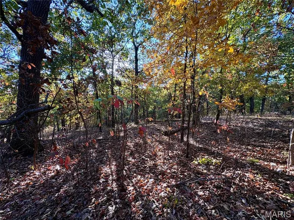 0 Walking Horse Ln, Saint Mary, MO 63673