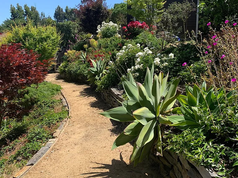 Garden pathway above driveway