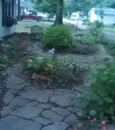 3rd image of 15875 Lakeview Dr