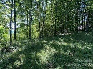 28 Berry Ln #C11, Black Mountain, NC 28711