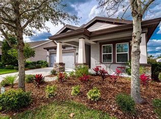 6339 Hawk Grove Ct, Wesley Chapel, FL 33545