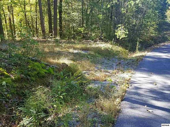 2nd image of 1824 Taylor Way Lot 28