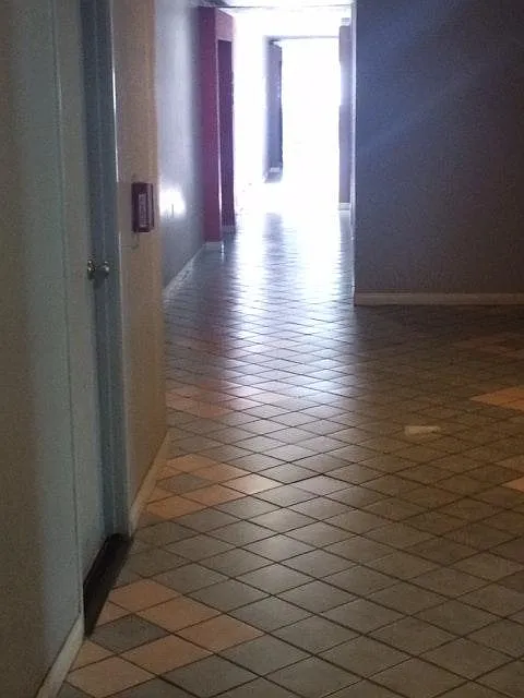 1 bed, 591 sqft, $1,995 — Photo 2