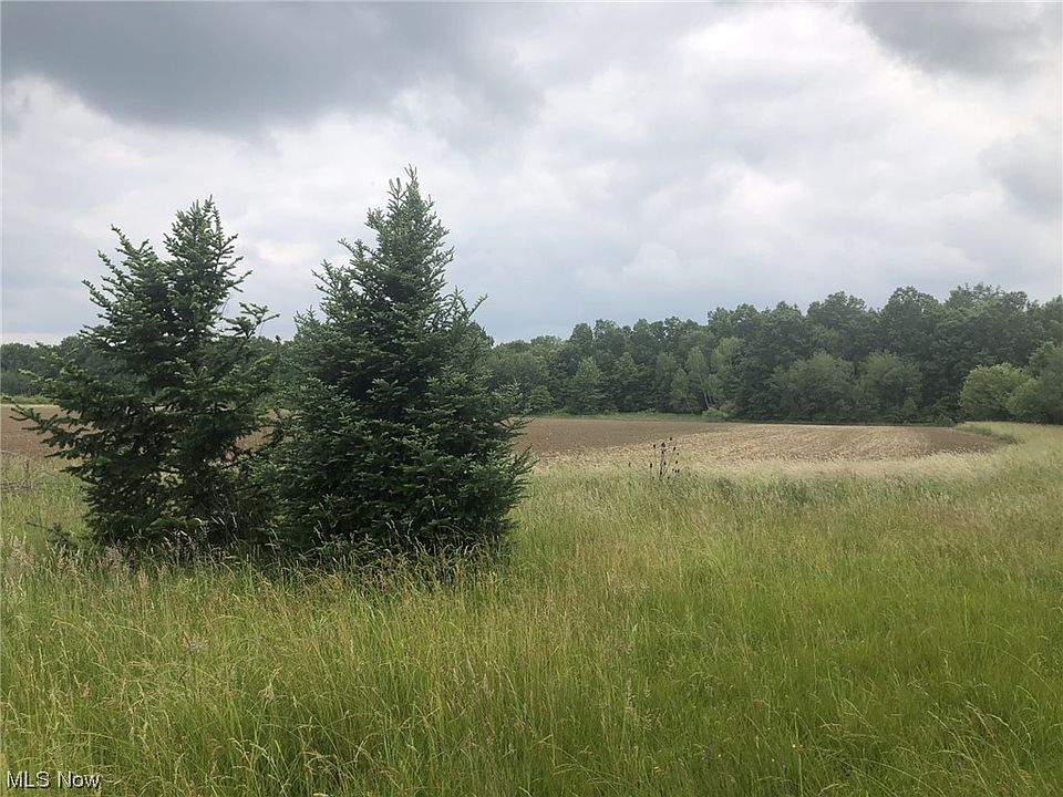 2nd image of Morrell Ray Rd