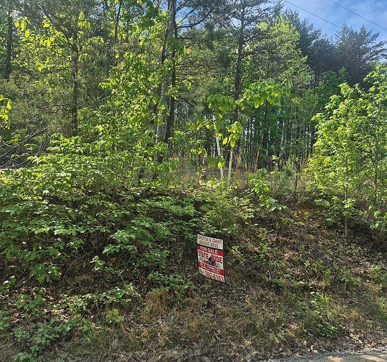 2nd image of 0 Mountain Creek Rd Lot 16
