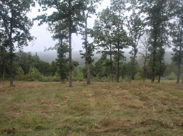 131 Mc #5039, Valley Springs, AR 72682