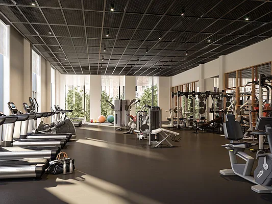 Rented by Douglas Elliman | media 38