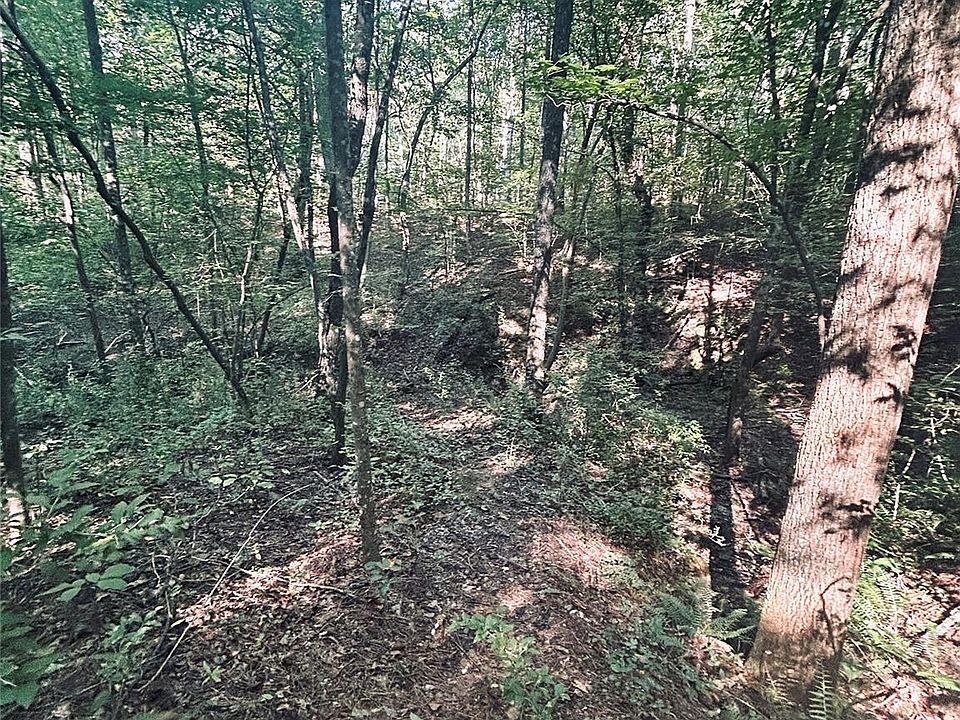 2nd image of 202 Tobe Bridge Rd #3