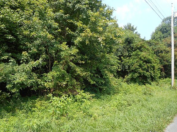 4th image of Woodland Dr