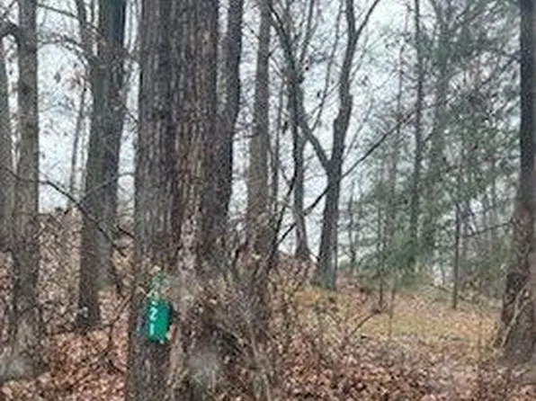 0 Jendean Ln, Rochester, MI 48306