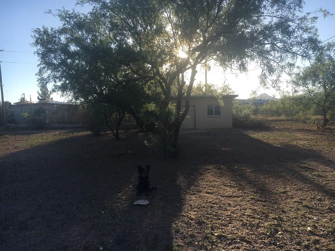 2 bed, 1314 sqft, $900 — Photo 4