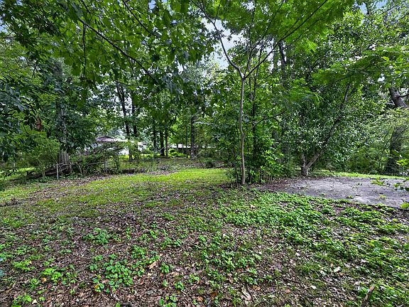5th image of 253 Glynn Dr