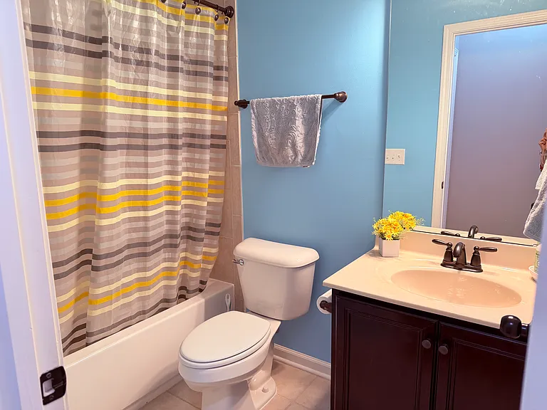 Bathroom 3 (downstairs)