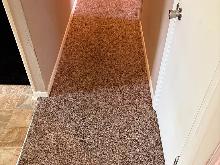 3606 Alene Cir — Photo 5