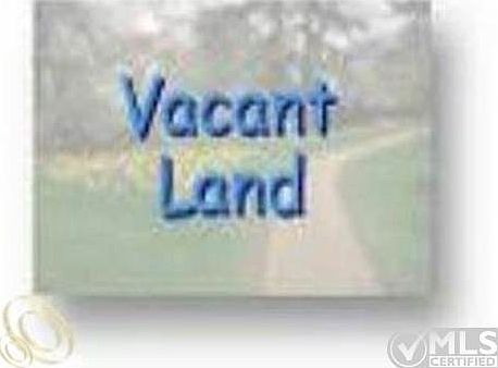 vacant land.jpg