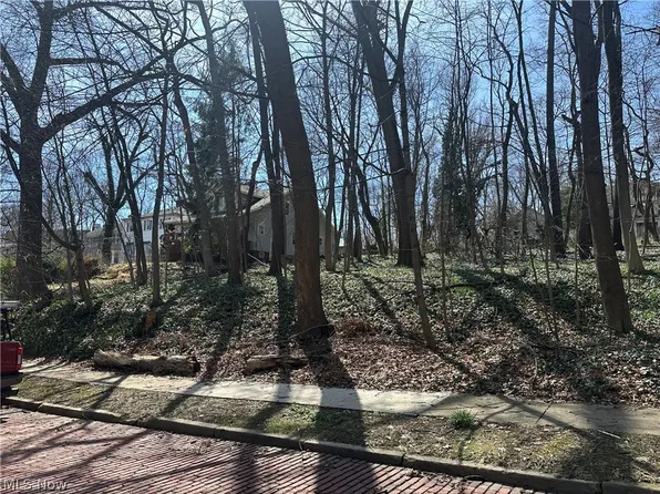 Weber Ave, Akron, OH 44303