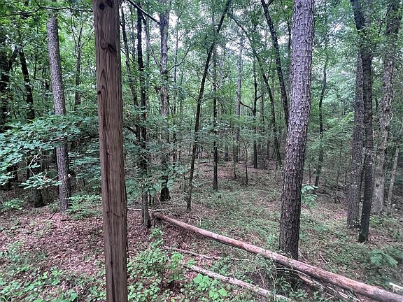 3rd image of 3245 Old Plain Dealing Rd