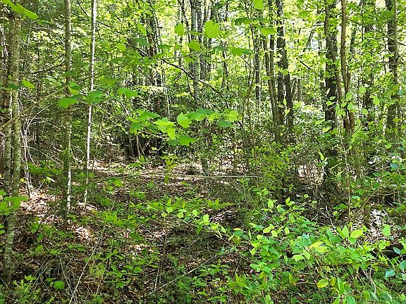 3rd image of 0 Vincent Colvin Rd